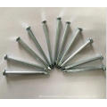 Low Price Galvanised Concrete Nails for Construction